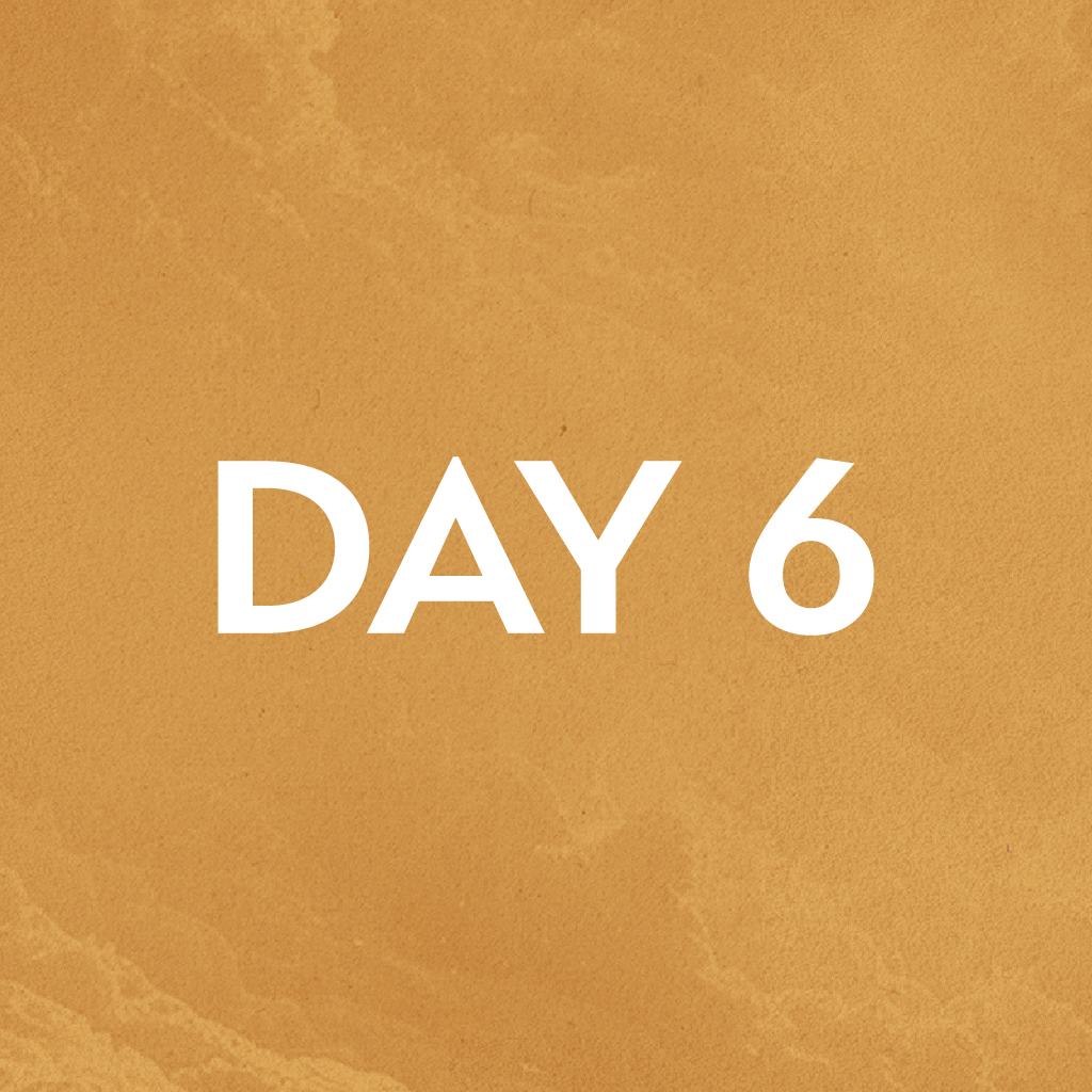 Day 6 &#8211; Community