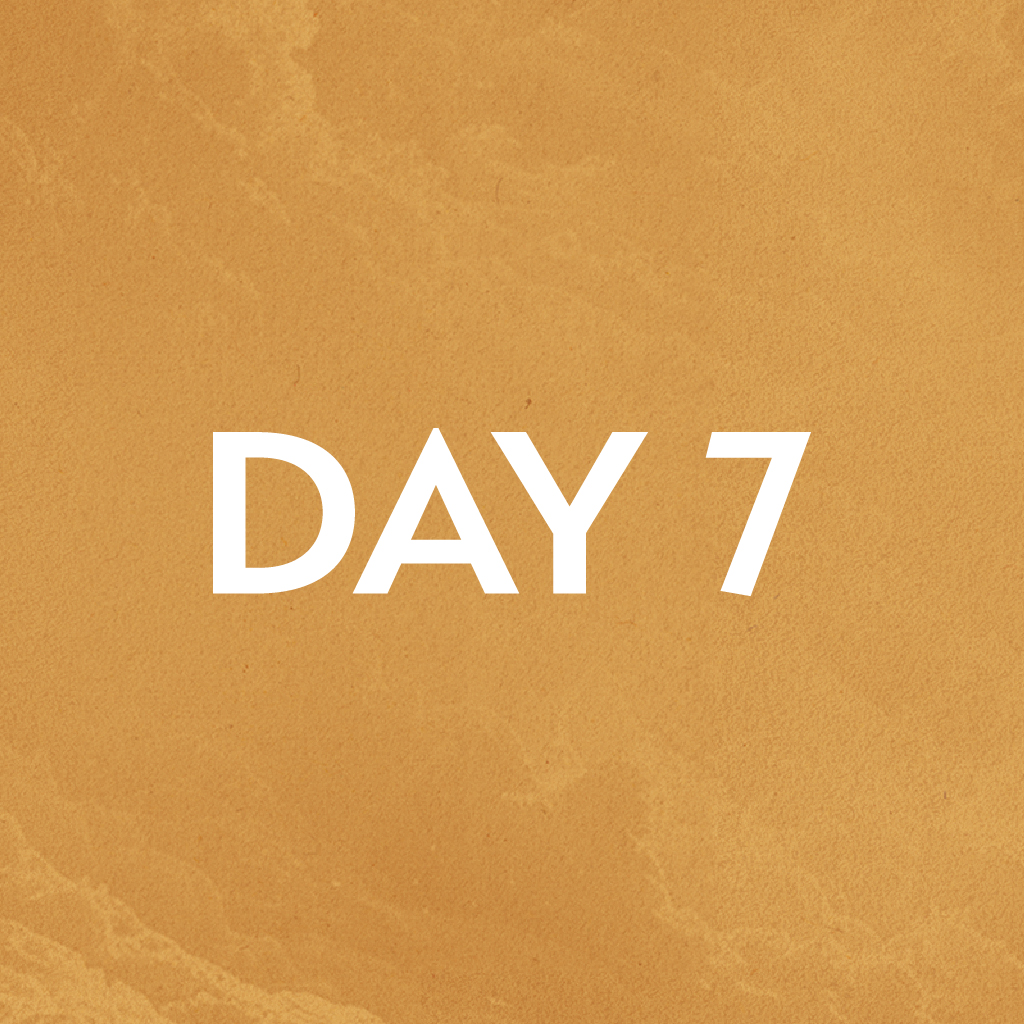 Day 7 &#8211; Serve